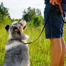 Load image into Gallery viewer, Personalized dog leather leash