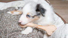 Load image into Gallery viewer, Dog toy - wooden bone dog toy small