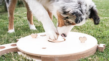 Load image into Gallery viewer, Dog toy - educational activity board dog toy