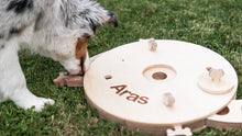 Load image into Gallery viewer, Dog toy - educational activity board dog toy