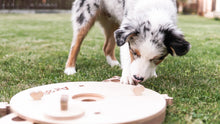 Load image into Gallery viewer, Dog toy - educational activity board dog toy