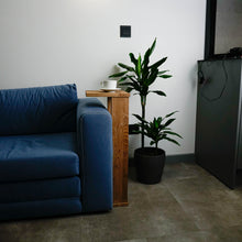 Load image into Gallery viewer, Coffee Table -  Wooden Sofa Table With Shelf