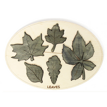 Load image into Gallery viewer, Kids Learning Board - Leaf , Trees Names Learning Board