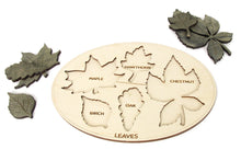 Load image into Gallery viewer, Kids Learning Board - Leaf , Trees Names Learning Board