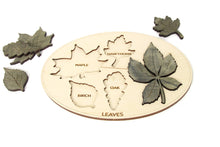 Load image into Gallery viewer, Kids Learning Board - Leaf , Trees Names Learning Board