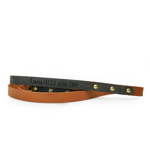 Personalized leather dog leash