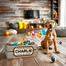 Load image into Gallery viewer, Personalized storage box for Dog&#39;s Toy