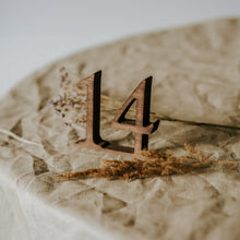 Load image into Gallery viewer, Set of 1-10 Wooden Table Numbers for Weddings and Special Events