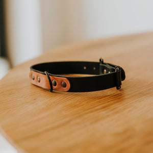 Leather dog collar with personalization