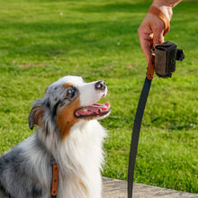 Load image into Gallery viewer, Dog Poop Bag Leather Holder