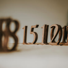 Load image into Gallery viewer, Set of 1-10 Wooden Table Numbers for Weddings and Special Events