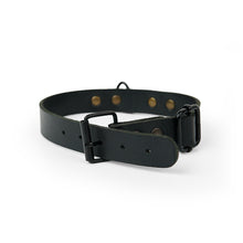 Load image into Gallery viewer, Leather dog collar with personalization