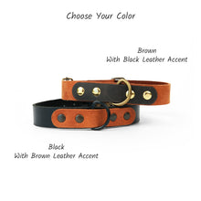 Load image into Gallery viewer, Leather dog collar with personalization