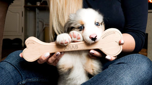 Dog toy - wooden bone dog toy small