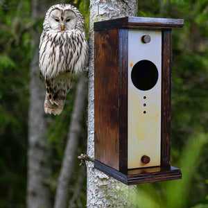 Wooden Bird House "Owl"