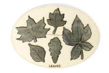 Load image into Gallery viewer, Kids Learning Board - Leaf , Trees Names Learning Board