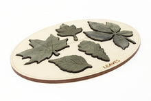 Load image into Gallery viewer, Kids Learning Board - Leaf , Trees Names Learning Board