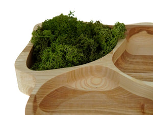 Wooden Food Tray - Wood Snacks Board